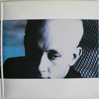 LP Dead Or Alive: Mad, Bad And Dangerous To Know