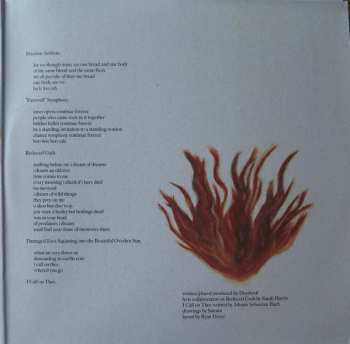 LP Deerhoof: Future Teenage Cave Artists LTD | CLR 76673