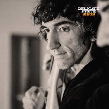LP Delicate Steve: Delicate Steve Sings