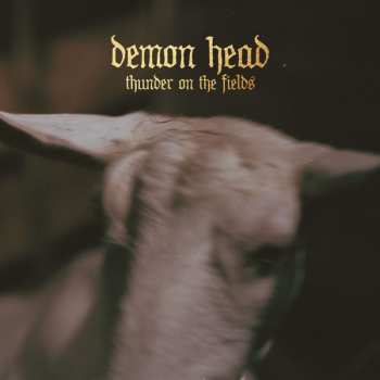 Album Demon Head: Thunder On The Fields