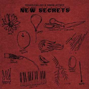 Dennis Callaci: New Secrets