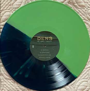 LP Dens: No Small Tempest LTD | CLR 131068