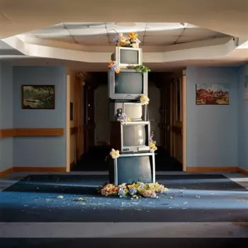 Denude: A Murmuration Of Capitalist Bees