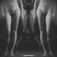 Album Der Noir: Numeri E Figure