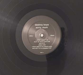 LP Destroy Boys: Sorry, Mom
