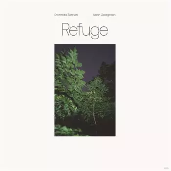 Devendra Banhart: Refuge