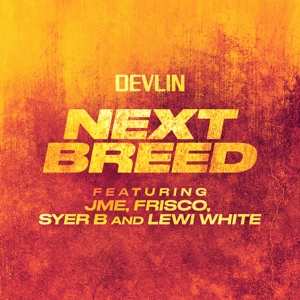 Album Devlin: Eyes For The Blind