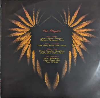 2LP Devotchka: How It Ends (20th Anniversary) CLR