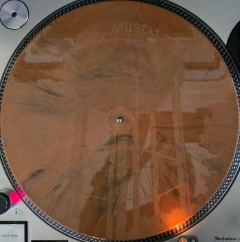 2LP Dewolff: Muscle Shoals CLR | LTD