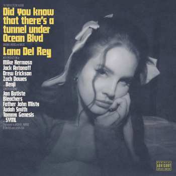 2LP Lana Del Rey: Did You Know That There's a Tunnel Under Ocean Blvd 391524
