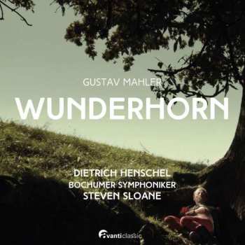 Album Dietrich/steven Henschel: Wunderhorn