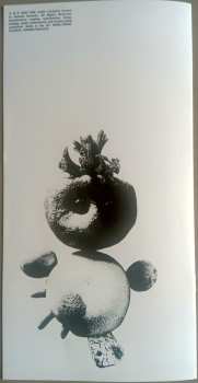 LP DIIV: Frog In Boiling Water CLR | LTD