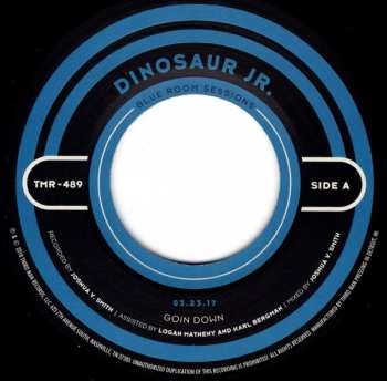 SP Dinosaur Jr.: Blue Room Sessions 310253