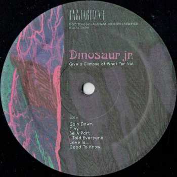 LP Dinosaur Jr.: Give A Glimpse Of What Yer Not 14105