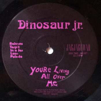 LP Dinosaur Jr.: You're Living All Over Me 41259