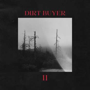 CD Dirt Buyer: Dirt Buyer Ii 482793