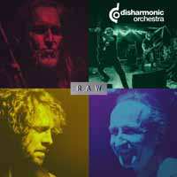 LP Disharmonic Orchestra: Raw (lime Green) 430498