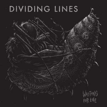 LP Dividing Lines: Waiting For Life 484089