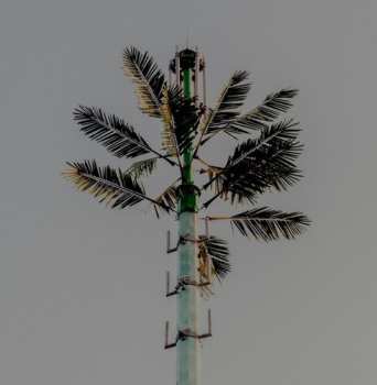 2LP Dj Balduin: Concrete Mimosa