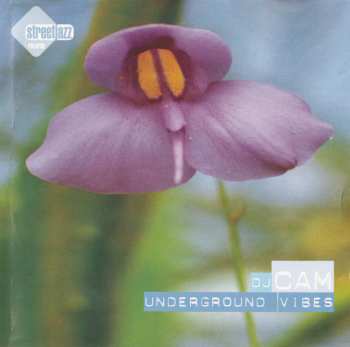 Album DJ Cam: Underground Vibes