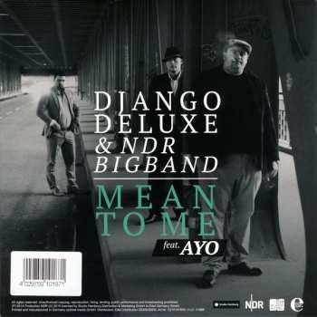 SP Django Deluxe: Stina / Mean To Me 152809