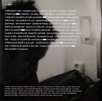 CD David Koller: LP XXIII