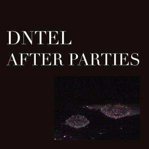 Album Dntel: After Parties II