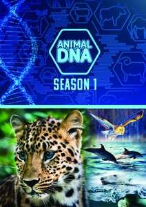 Documentary: Animal Dna: Season One
