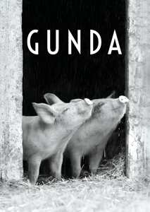 Documentary: Gunda