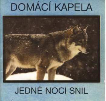 Album Domácí Kapela: Jedné Noci Snil