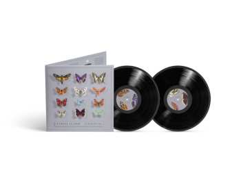 Album Dominik Eulberg: Lepidoptera