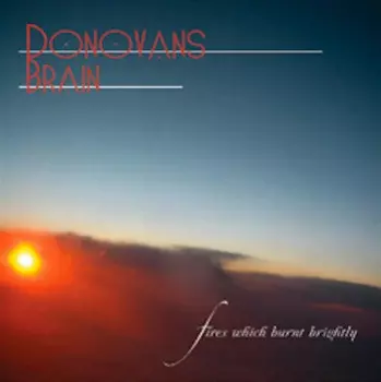 Donovan's Brain: Fires Which Burnt Brightly