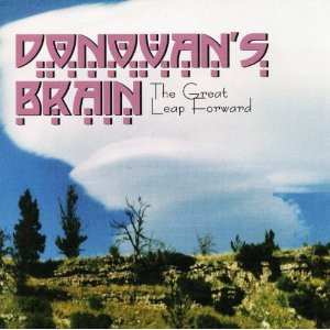 Album Donovan's Brain: The Great Leap Forward
