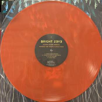 2LP Bright Eyes: Down In The Weeds, Where The World Once Was LTD | CLR 10251