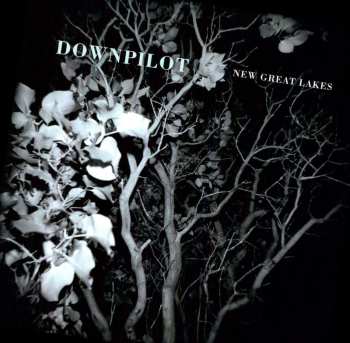 LP Downpilot: New Great Lakes 479751