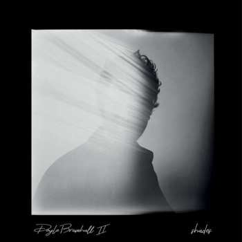Album Doyle Bramhall II: Shades