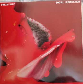 Album Dream Wife: Social Lubrication