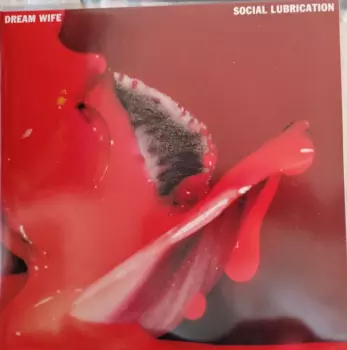 Dream Wife: Social Lubrication