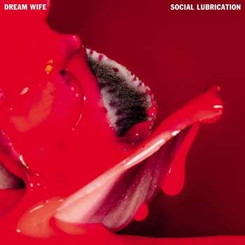 CD Dream Wife: Social Lubrication 456228