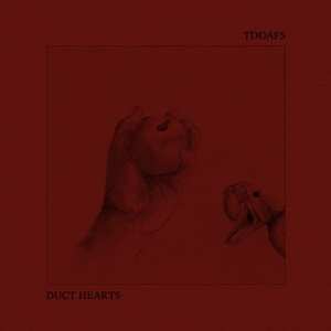 Album Duct Hearts/tdoafs: Split
