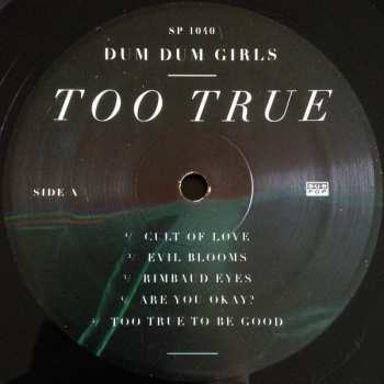 LP Dum Dum Girls: Too True 71339