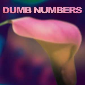 Album Dumb Numbers: Dumb Numbers