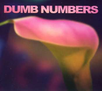 CD Dumb Numbers: Dumb Numbers