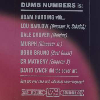 LP Dumb Numbers: Dumb Numbers 81713