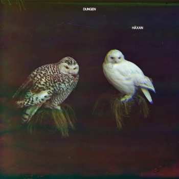 CD Dungen: Häxan