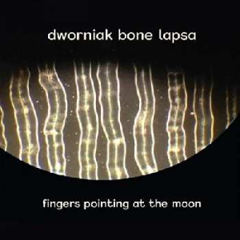 LP Dworniak Bone Lapsa: Fingers Pointing At The Moon 292298