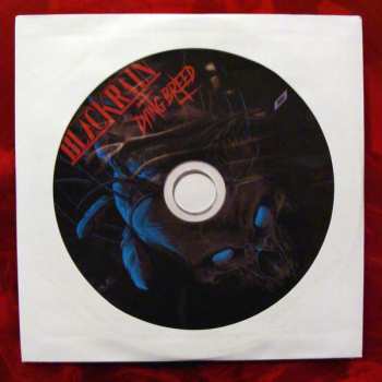 LP/CD Blackrain: Dying Breed LTD | CLR 10574