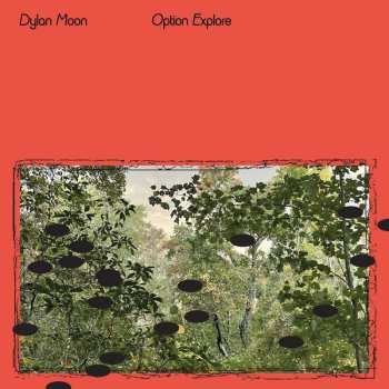 CD Dylan Moon: Option Explore 462577