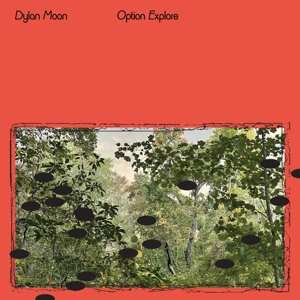 LP Dylan Moon: Option Explore 290861