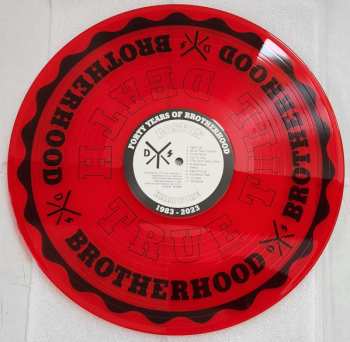 LP DYS: Brotherhood CLR | LTD 534800
